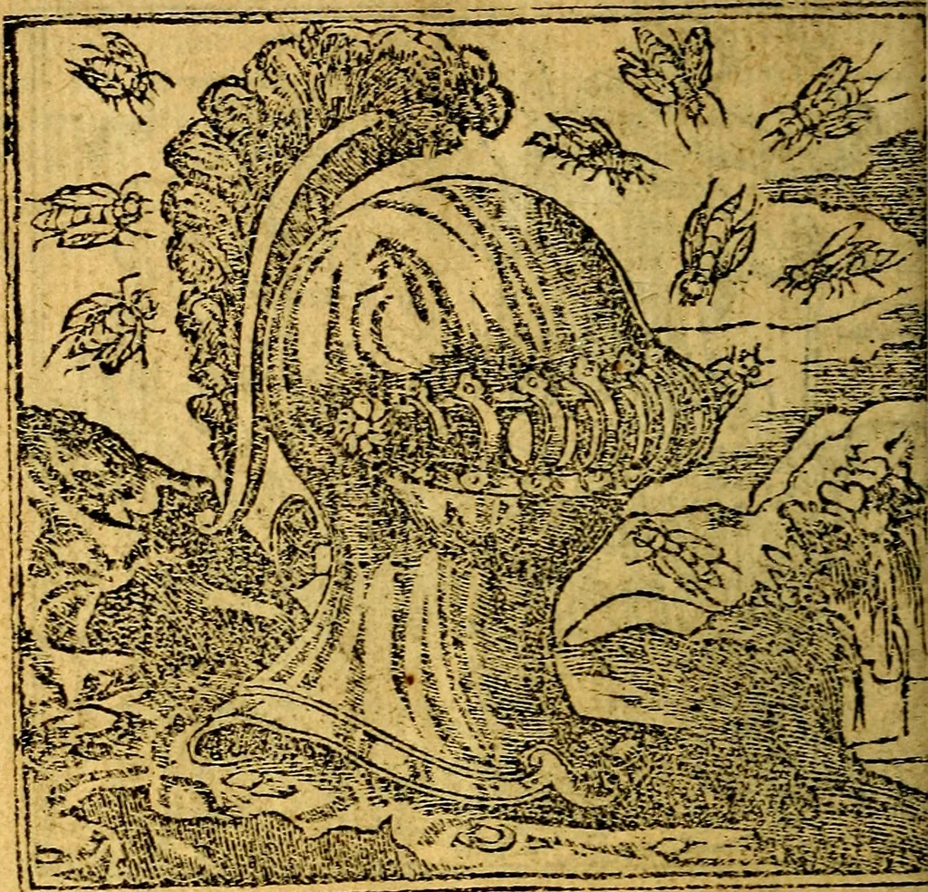 An illustration from Omnia D. And. Alciati emblemata : ad quae singula, praeter concinnas acutásque inscriptiones, lepidas & expressas imagines, ac caetera omnia, quae prioribus nostris editionibus cúm ad eorum distinctionem, tum ad ornatum & correctionem adhibita continebantur, : nunc primùm perelegantia persubtiliáq[ue] adiecta sunt epimuthia, quibus emblematum amplitudo quaecunq[ue] in iis dubia sunt aut obscura, tanquam perspicuis illustrantur, 1566, leaf 213