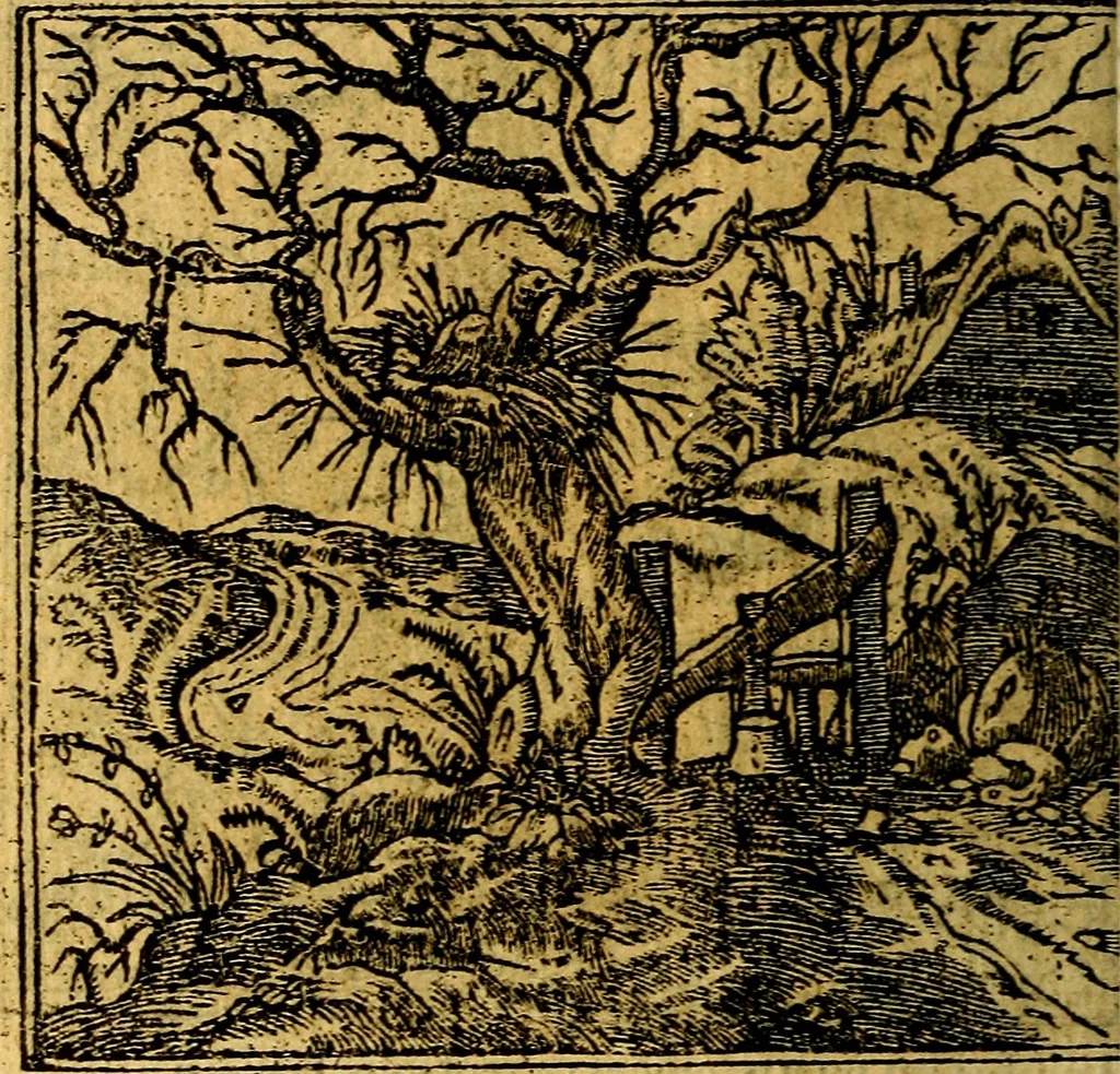 An illustration from Omnia D. And. Alciati emblemata : ad quae singula, praeter concinnas acutásque inscriptiones, lepidas & expressas imagines, ac caetera omnia, quae prioribus nostris editionibus cúm ad eorum distinctionem, tum ad ornatum & correctionem adhibita continebantur, : nunc primùm perelegantia persubtiliáq[ue] adiecta sunt epimuthia, quibus emblematum amplitudo quaecunq[ue] in iis dubia sunt aut obscura, tanquam perspicuis illustrantur, 1566, leaf 235