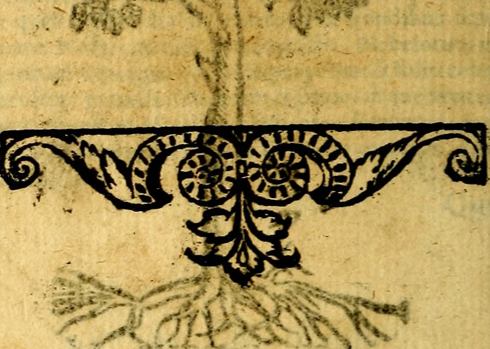 An illustration from Omnia D. And. Alciati emblemata : ad quae singula, praeter concinnas acutásque inscriptiones, lepidas & expressas imagines, ac caetera omnia, quae prioribus nostris editionibus cúm ad eorum distinctionem, tum ad ornatum & correctionem adhibita continebantur, : nunc primùm perelegantia persubtiliáq[ue] adiecta sunt epimuthia, quibus emblematum amplitudo quaecunq[ue] in iis dubia sunt aut obscura, tanquam perspicuis illustrantur, 1566, leaf 245