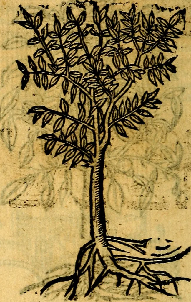 An illustration from Omnia D. And. Alciati emblemata : ad quae singula, praeter concinnas acutásque inscriptiones, lepidas & expressas imagines, ac caetera omnia, quae prioribus nostris editionibus cúm ad eorum distinctionem, tum ad ornatum & correctionem adhibita continebantur, : nunc primùm perelegantia persubtiliáq[ue] adiecta sunt epimuthia, quibus emblematum amplitudo quaecunq[ue] in iis dubia sunt aut obscura, tanquam perspicuis illustrantur, 1566, leaf 257