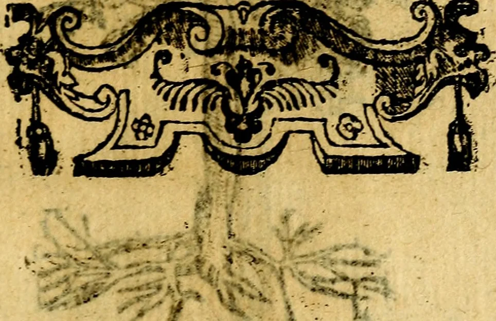 An illustration from Omnia D. And. Alciati emblemata : ad quae singula, praeter concinnas acutásque inscriptiones, lepidas & expressas imagines, ac caetera omnia, quae prioribus nostris editionibus cúm ad eorum distinctionem, tum ad ornatum & correctionem adhibita continebantur, : nunc primùm perelegantia persubtiliáq[ue] adiecta sunt epimuthia, quibus emblematum amplitudo quaecunq[ue] in iis dubia sunt aut obscura, tanquam perspicuis illustrantur, 1566, leaf 258