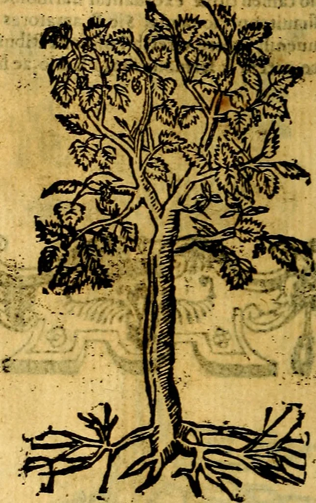 An illustration from Omnia D. And. Alciati emblemata : ad quae singula, praeter concinnas acutásque inscriptiones, lepidas & expressas imagines, ac caetera omnia, quae prioribus nostris editionibus cúm ad eorum distinctionem, tum ad ornatum & correctionem adhibita continebantur, : nunc primùm perelegantia persubtiliáq[ue] adiecta sunt epimuthia, quibus emblematum amplitudo quaecunq[ue] in iis dubia sunt aut obscura, tanquam perspicuis illustrantur, 1566, leaf 259