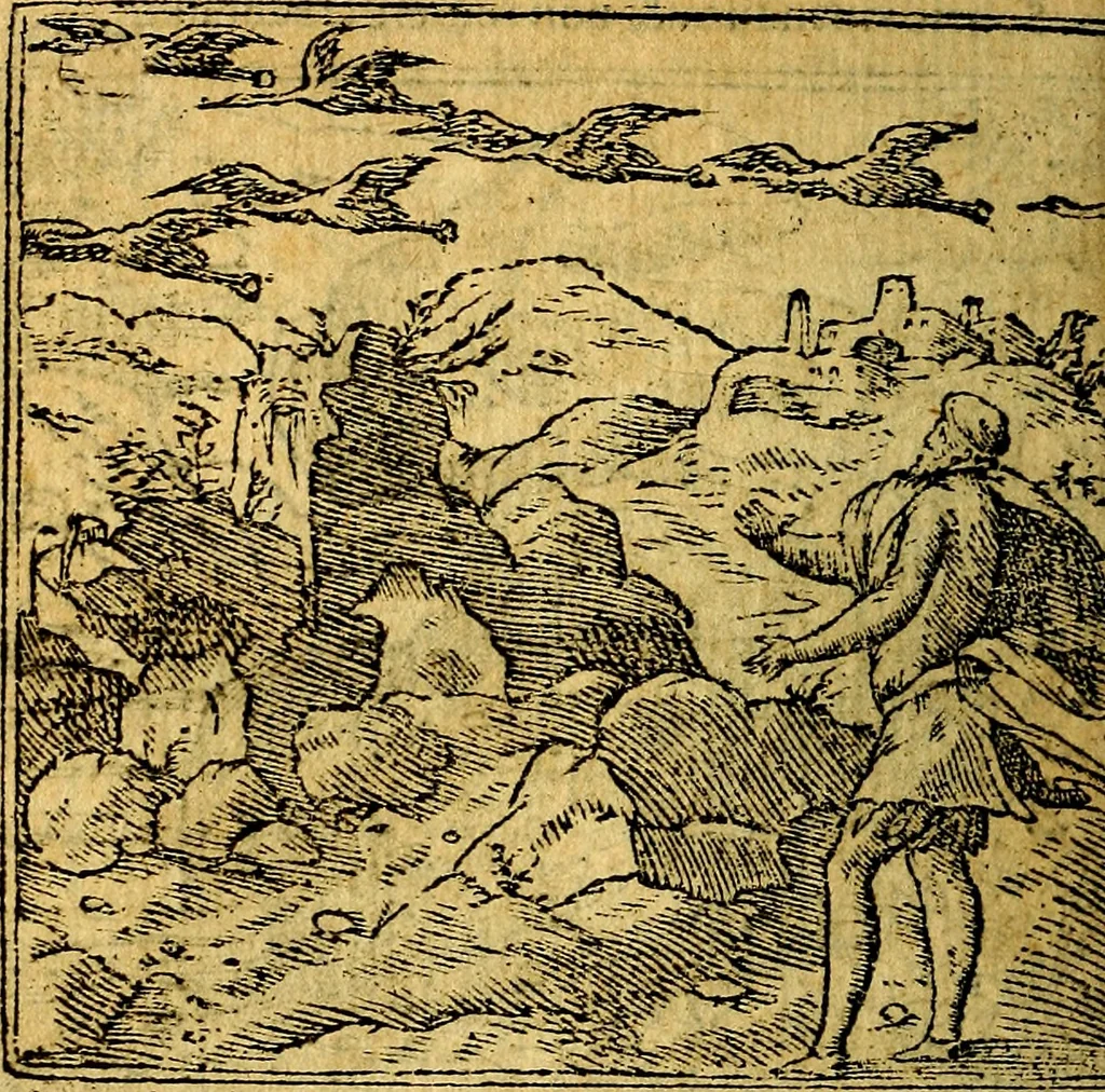 An illustration from Omnia D. And. Alciati emblemata : ad quae singula, praeter concinnas acutásque inscriptiones, lepidas & expressas imagines, ac caetera omnia, quae prioribus nostris editionibus cúm ad eorum distinctionem, tum ad ornatum & correctionem adhibita continebantur, : nunc primùm perelegantia persubtiliáq[ue] adiecta sunt epimuthia, quibus emblematum amplitudo quaecunq[ue] in iis dubia sunt aut obscura, tanquam perspicuis illustrantur, 1566, leaf 31