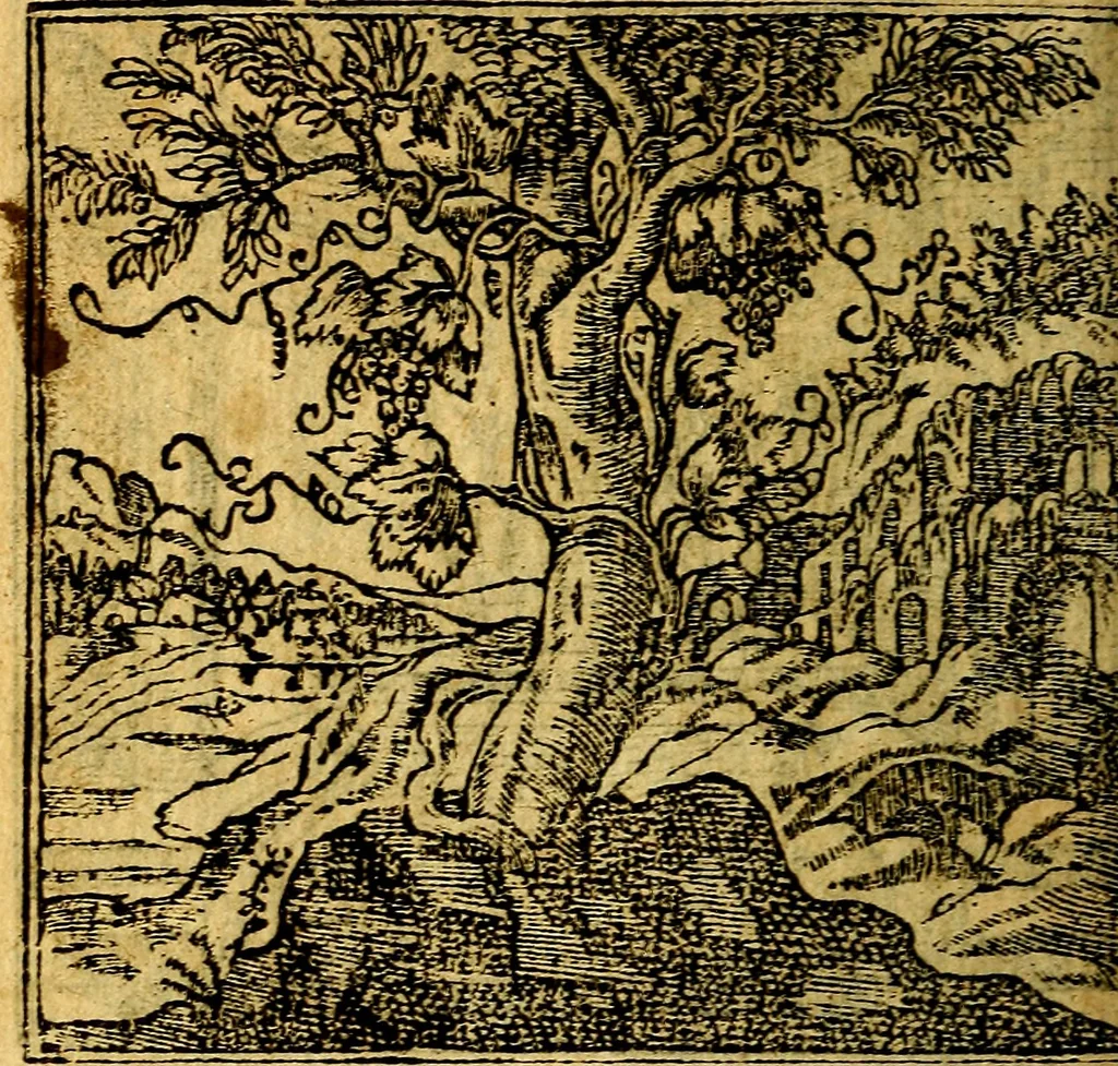An illustration from Omnia D. And. Alciati emblemata : ad quae singula, praeter concinnas acutásque inscriptiones, lepidas & expressas imagines, ac caetera omnia, quae prioribus nostris editionibus cúm ad eorum distinctionem, tum ad ornatum & correctionem adhibita continebantur, : nunc primùm perelegantia persubtiliáq[ue] adiecta sunt epimuthia, quibus emblematum amplitudo quaecunq[ue] in iis dubia sunt aut obscura, tanquam perspicuis illustrantur, 1566, leaf 39