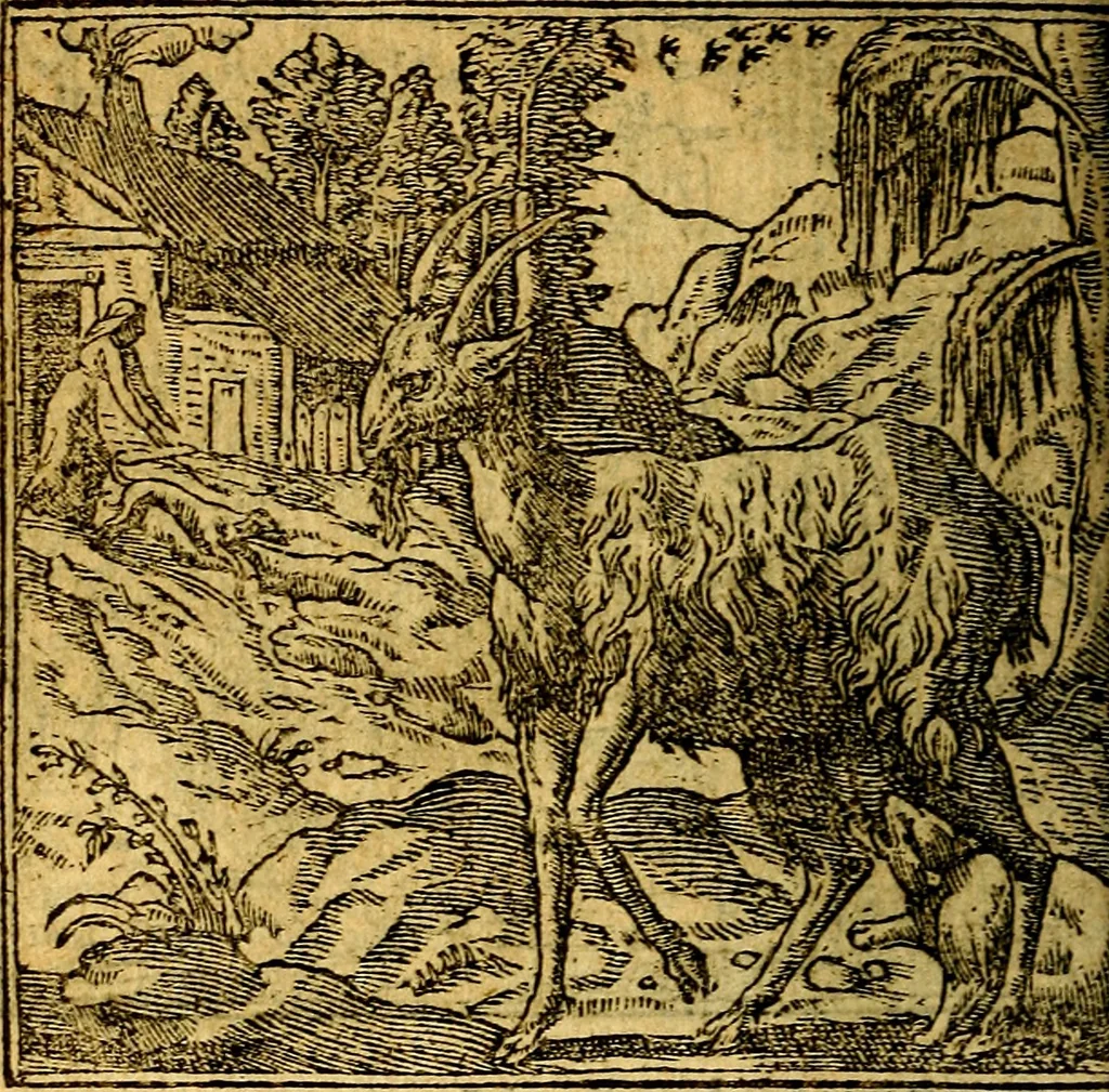 An illustration from Omnia D. And. Alciati emblemata : ad quae singula, praeter concinnas acutásque inscriptiones, lepidas & expressas imagines, ac caetera omnia, quae prioribus nostris editionibus cúm ad eorum distinctionem, tum ad ornatum & correctionem adhibita continebantur, : nunc primùm perelegantia persubtiliáq[ue] adiecta sunt epimuthia, quibus emblematum amplitudo quaecunq[ue] in iis dubia sunt aut obscura, tanquam perspicuis illustrantur, 1566, leaf 81