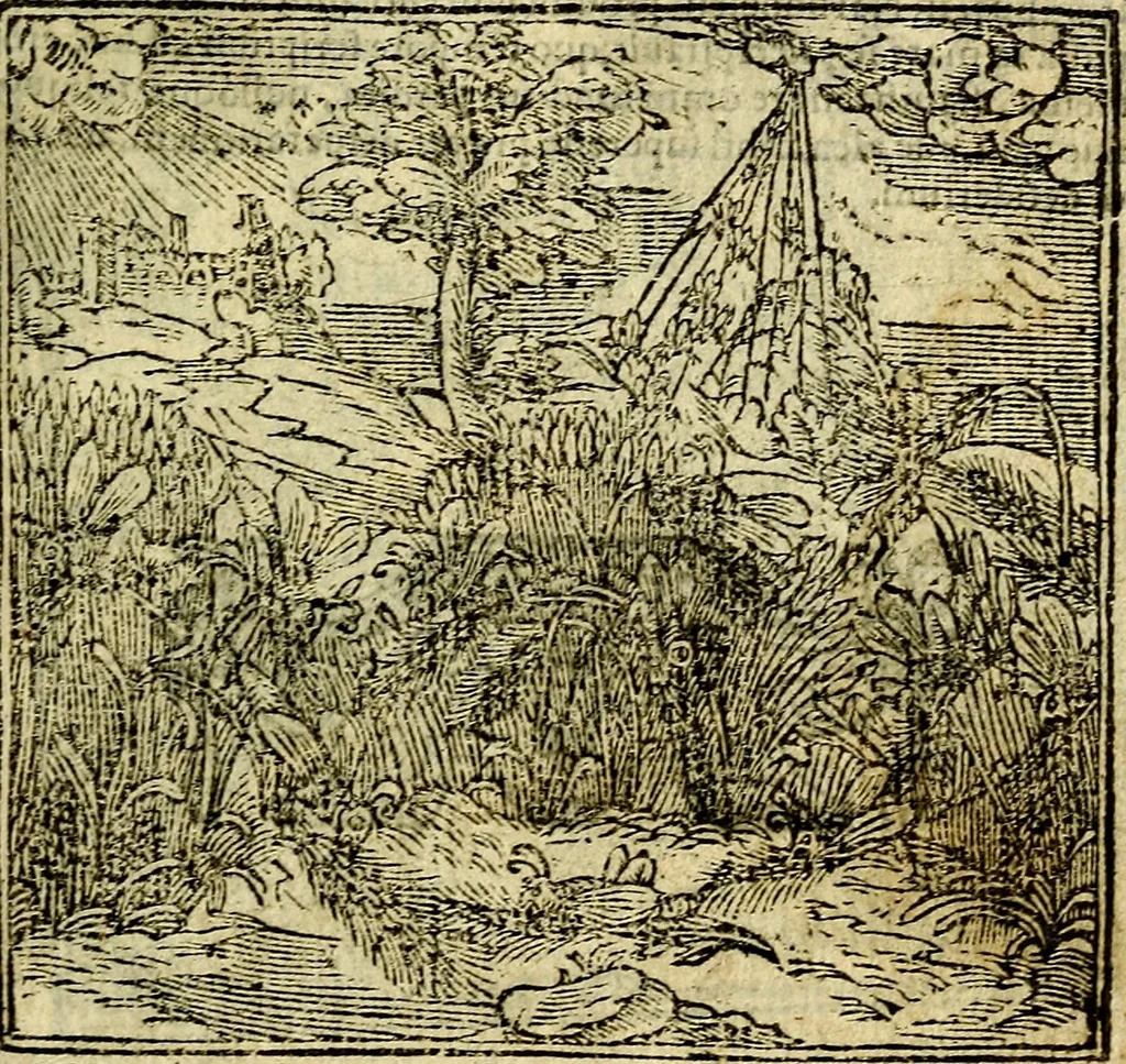 An illustration from Omnia D. And. Alciati Emblemata : ad qvae singula praeter concinnas acutásque inscriptiones, lepidas & expressas imagines, ac caetera omnia, quae prioribus nostris editionibus cùm ad eorum distinctionem, tum ad ornatum & correctionem adhibita continebantur, : nunc primùm perelegantia persubtiliaq́ [ue], 1564, leaf 144