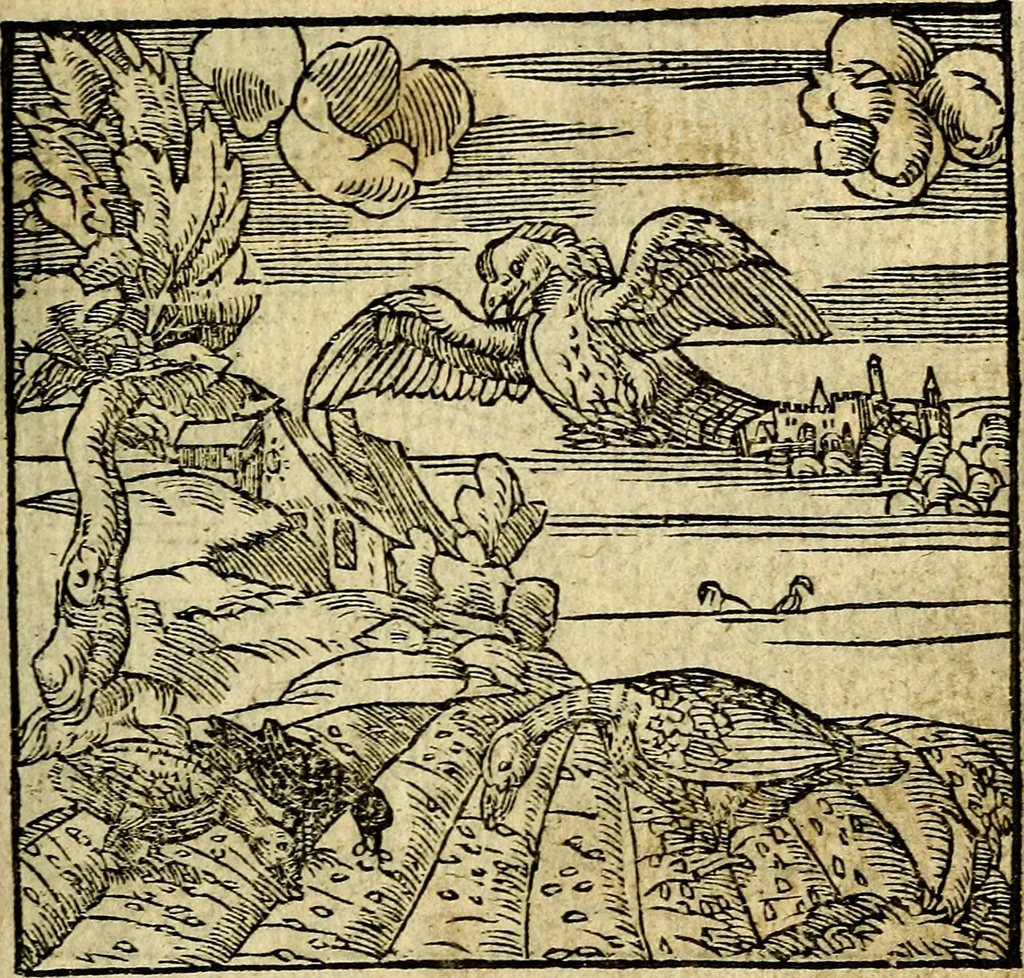 An illustration from Omnia D. And. Alciati Emblemata : ad qvae singula praeter concinnas acutásque inscriptiones, lepidas & expressas imagines, ac caetera omnia, quae prioribus nostris editionibus cùm ad eorum distinctionem, tum ad ornatum & correctionem adhibita continebantur, : nunc primùm perelegantia persubtiliaq́ [ue], 1564, leaf 160