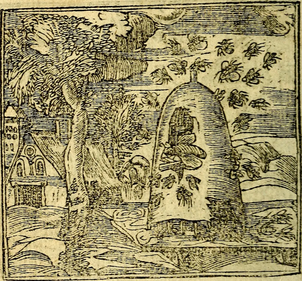 An illustration from Omnia D. And. Alciati Emblemata : ad qvae singula praeter concinnas acutásque inscriptiones, lepidas & expressas imagines, ac caetera omnia, quae prioribus nostris editionibus cùm ad eorum distinctionem, tum ad ornatum & correctionem adhibita continebantur, : nunc primùm perelegantia persubtiliaq́ [ue], 1564, leaf 171