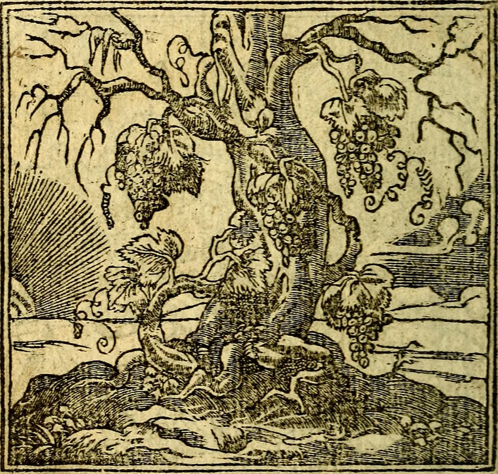 An illustration from Omnia D. And. Alciati Emblemata : ad qvae singula praeter concinnas acutásque inscriptiones, lepidas & expressas imagines, ac caetera omnia, quae prioribus nostris editionibus cùm ad eorum distinctionem, tum ad ornatum & correctionem adhibita continebantur, : nunc primùm perelegantia persubtiliaq́ [ue], 1564, leaf 183