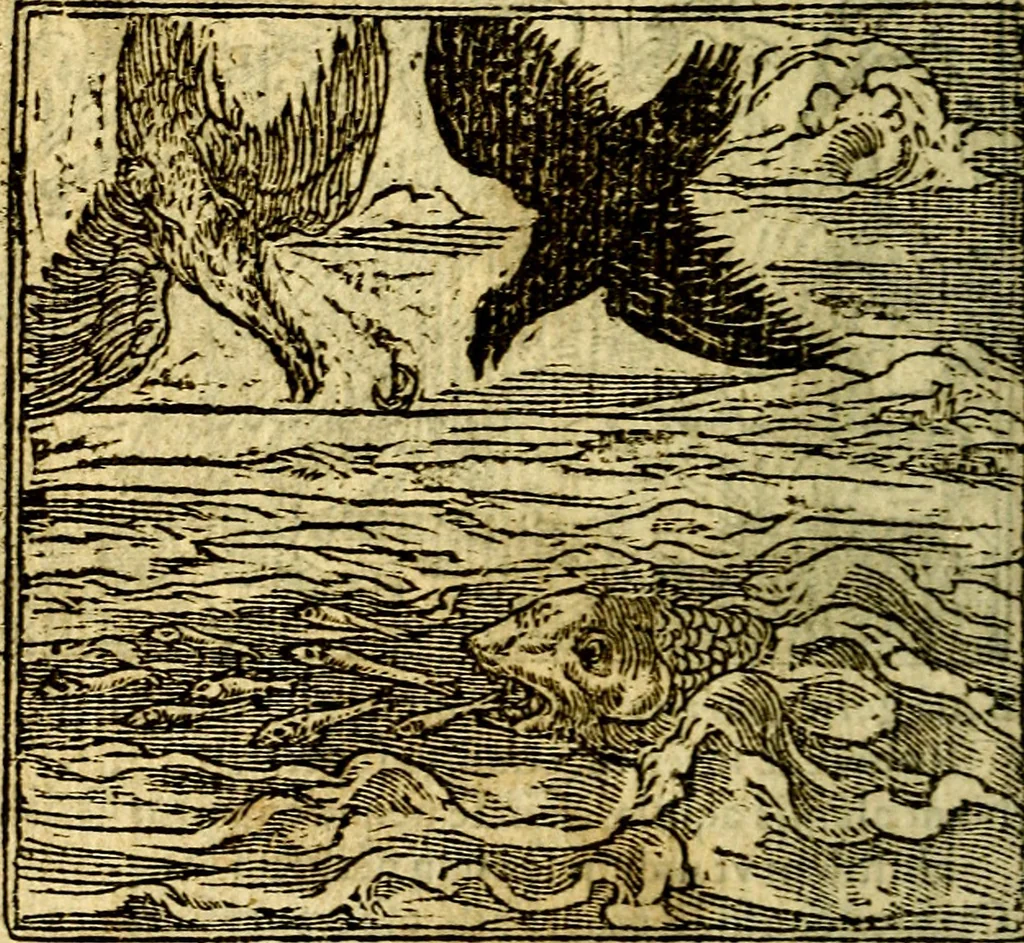 An illustration from Omnia D. And. Alciati Emblemata : ad qvae singula praeter concinnas acutásque inscriptiones, lepidas & expressas imagines, ac caetera omnia, quae prioribus nostris editionibus cùm ad eorum distinctionem, tum ad ornatum & correctionem adhibita continebantur, : nunc primùm perelegantia persubtiliaq́ [ue], 1564, leaf 195