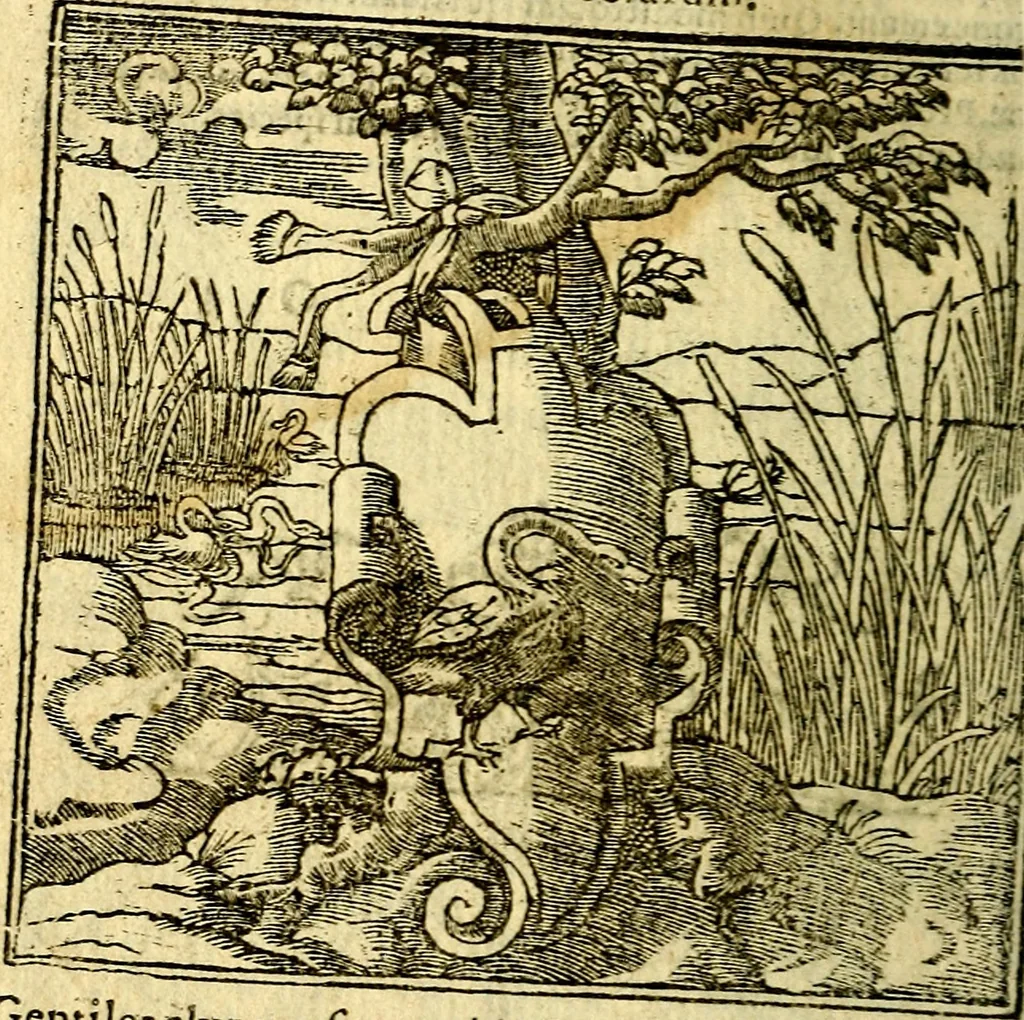 An illustration from Omnia D. And. Alciati Emblemata : ad qvae singula praeter concinnas acutásque inscriptiones, lepidas & expressas imagines, ac caetera omnia, quae prioribus nostris editionibus cùm ad eorum distinctionem, tum ad ornatum & correctionem adhibita continebantur, : nunc primùm perelegantia persubtiliaq́ [ue], 1564, leaf 213