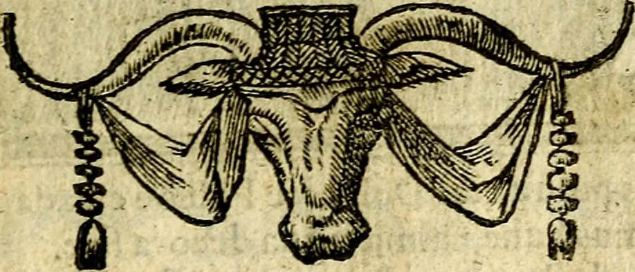An illustration from Omnia D. And. Alciati Emblemata : ad qvae singula praeter concinnas acutásque inscriptiones, lepidas & expressas imagines, ac caetera omnia, quae prioribus nostris editionibus cùm ad eorum distinctionem, tum ad ornatum & correctionem adhibita continebantur, : nunc primùm perelegantia persubtiliaq́ [ue], 1564, leaf 214