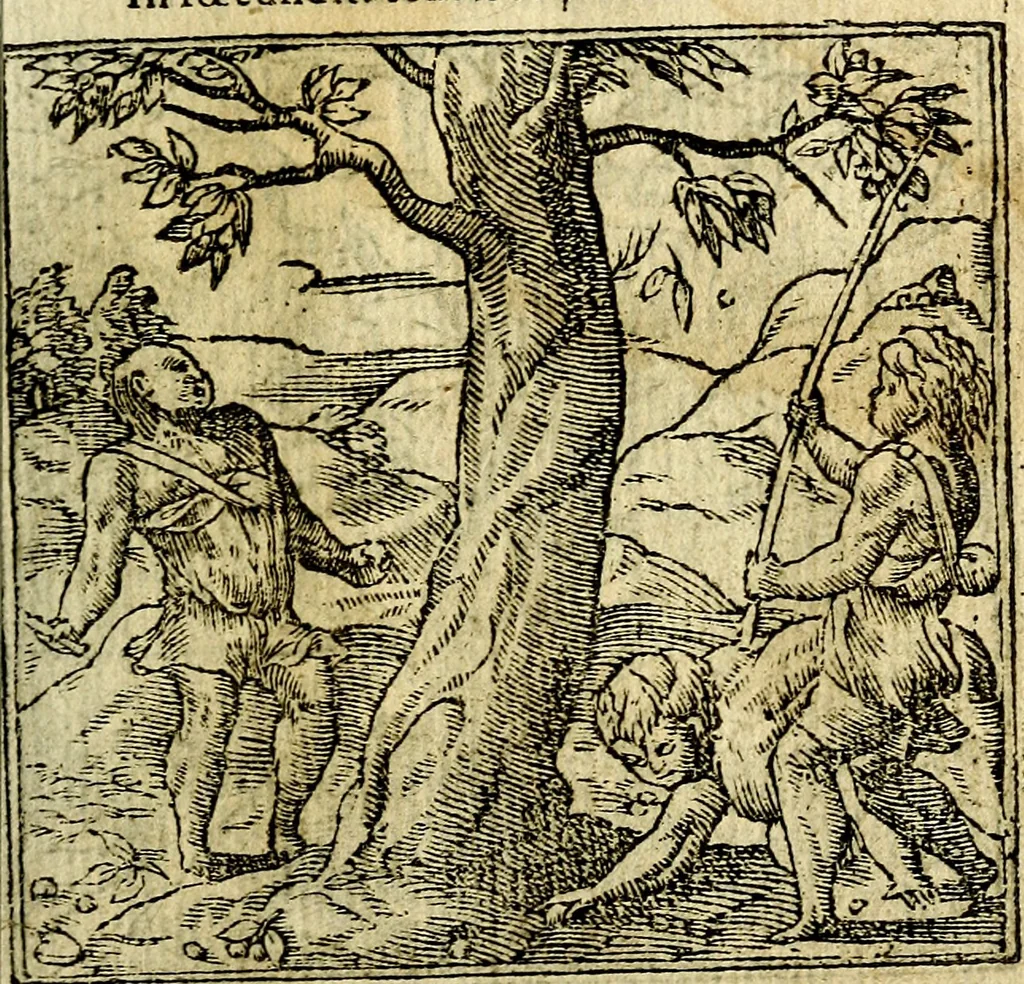 An illustration from Omnia D. And. Alciati Emblemata : ad qvae singula praeter concinnas acutásque inscriptiones, lepidas & expressas imagines, ac caetera omnia, quae prioribus nostris editionibus cùm ad eorum distinctionem, tum ad ornatum & correctionem adhibita continebantur, : nunc primùm perelegantia persubtiliaq́ [ue], 1564, leaf 228