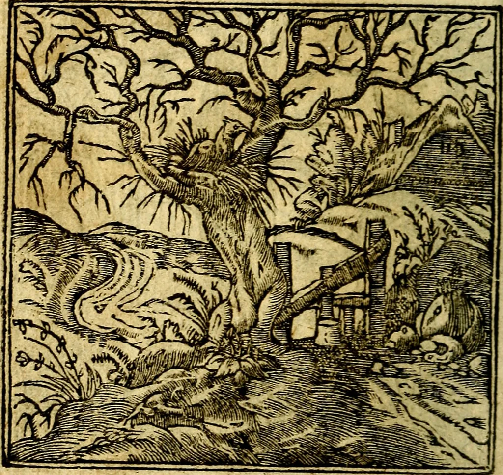 An illustration from Omnia D. And. Alciati Emblemata : ad qvae singula praeter concinnas acutásque inscriptiones, lepidas & expressas imagines, ac caetera omnia, quae prioribus nostris editionibus cùm ad eorum distinctionem, tum ad ornatum & correctionem adhibita continebantur, : nunc primùm perelegantia persubtiliaq́ [ue], 1564, leaf 229
