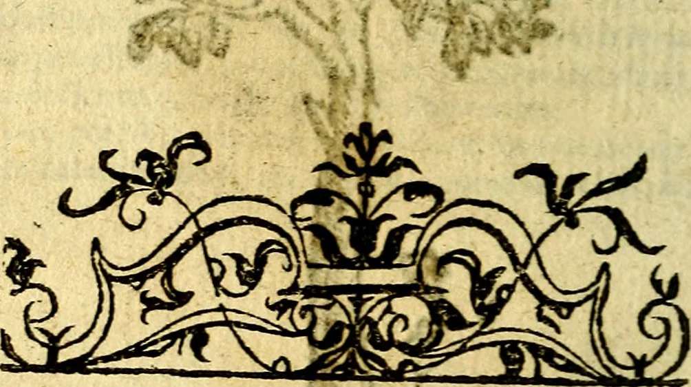 An illustration from Omnia D. And. Alciati Emblemata : ad qvae singula praeter concinnas acutásque inscriptiones, lepidas & expressas imagines, ac caetera omnia, quae prioribus nostris editionibus cùm ad eorum distinctionem, tum ad ornatum & correctionem adhibita continebantur, : nunc primùm perelegantia persubtiliaq́ [ue], 1564, leaf 239