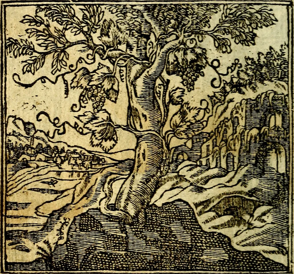 An illustration from Omnia D. And. Alciati Emblemata : ad qvae singula praeter concinnas acutásque inscriptiones, lepidas & expressas imagines, ac caetera omnia, quae prioribus nostris editionibus cùm ad eorum distinctionem, tum ad ornatum & correctionem adhibita continebantur, : nunc primùm perelegantia persubtiliaq́ [ue], 1564, leaf 31