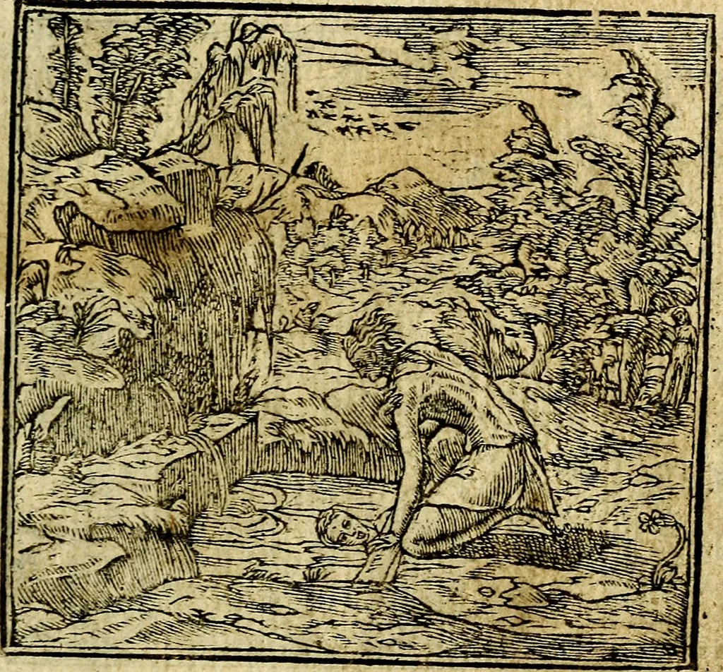 An illustration from Omnia D. And. Alciati Emblemata : ad qvae singula praeter concinnas acutásque inscriptiones, lepidas & expressas imagines, ac caetera omnia, quae prioribus nostris editionibus cùm ad eorum distinctionem, tum ad ornatum & correctionem adhibita continebantur, : nunc primùm perelegantia persubtiliaq́ [ue], 1564, leaf 78