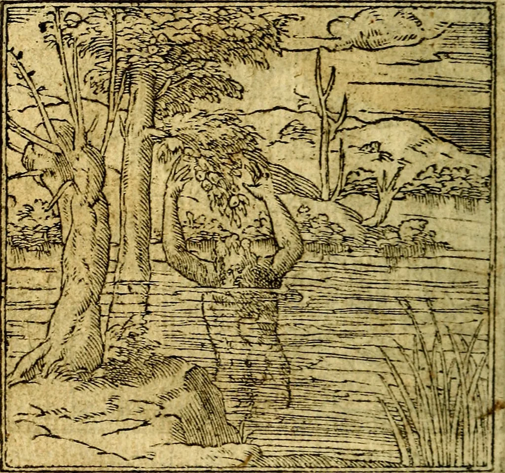 An illustration from Omnia D. And. Alciati Emblemata : ad qvae singula praeter concinnas acutásque inscriptiones, lepidas & expressas imagines, ac caetera omnia, quae prioribus nostris editionibus cùm ad eorum distinctionem, tum ad ornatum & correctionem adhibita continebantur, : nunc primùm perelegantia persubtiliaq́ [ue], 1564, leaf 93