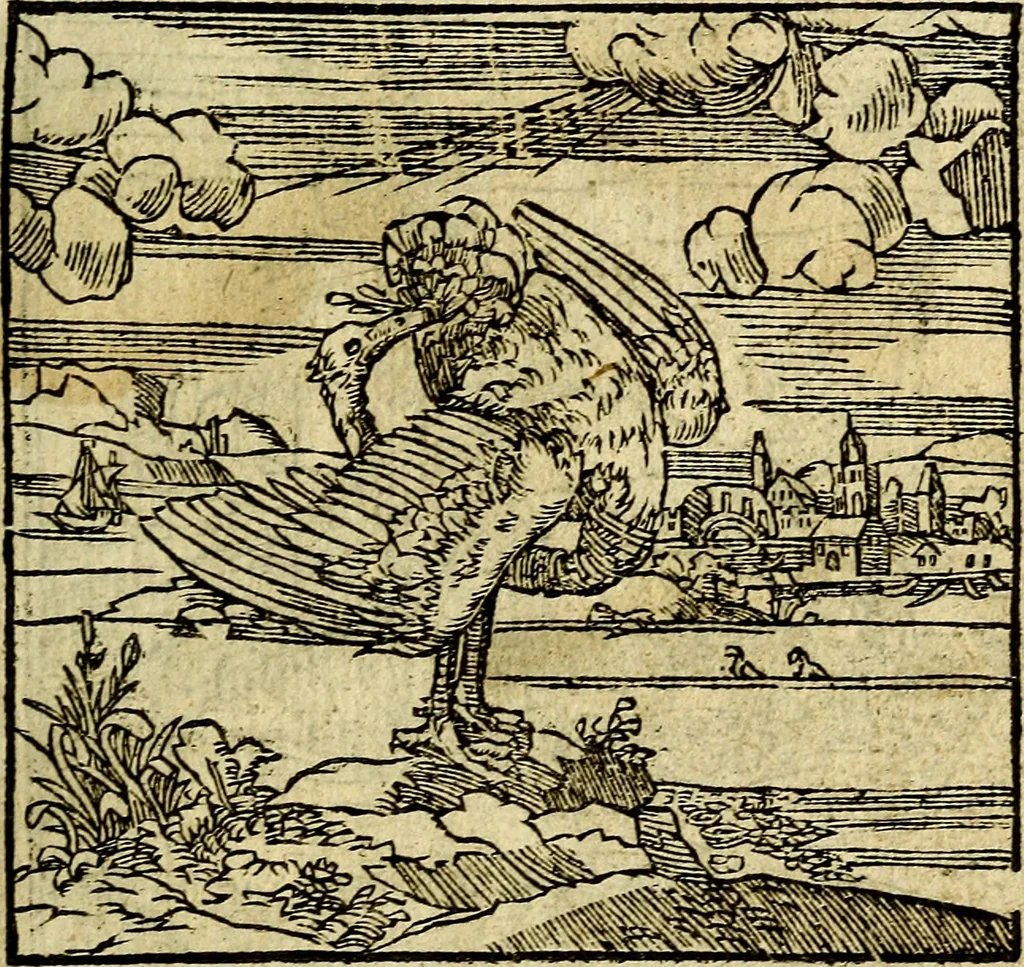 An illustration from Omnia D. And. Alciati Emblemata : ad qvae singula praeter concinnas acutásque inscriptiones, lepidas & expressas imagines, ac caetera omnia, quae prioribus nostris editionibus cùm ad eorum distinctionem, tum ad ornatum & correctionem adhibita continebantur, : nunc primùm perelegantia persubtiliaq́ [ue], 1564, leaf 96