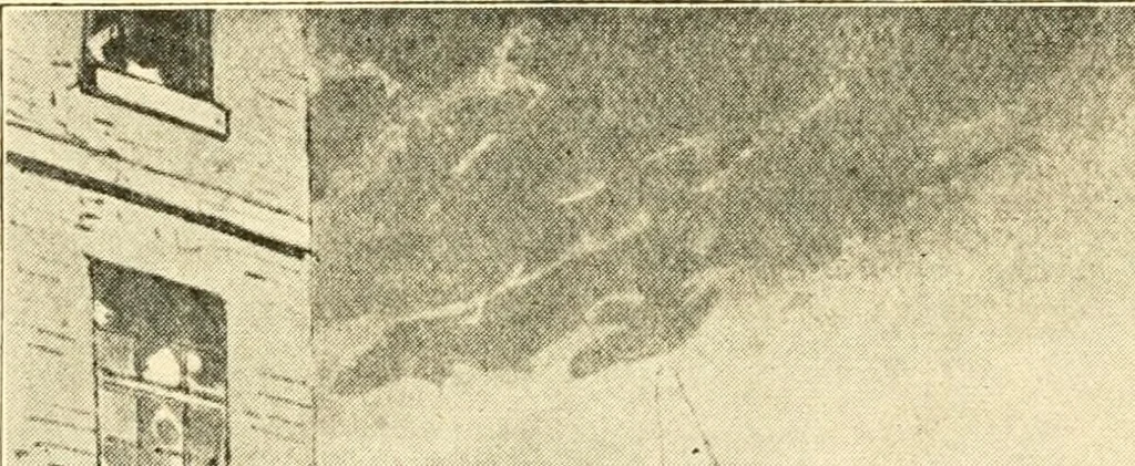 An illustration from Omnibuses and cabs : their origin and history, 1902, leaf 213