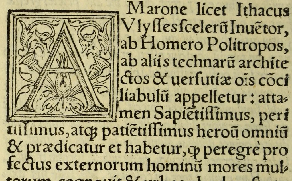 An illustration from Omnium gentium mores, leges [et] ritus, 1536, leaf 306
