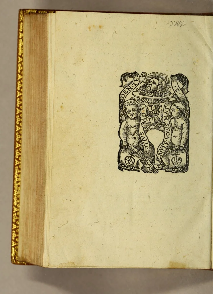 An illustration from Omnium gentium mores, leges et ritus,, 1582, leaf 438