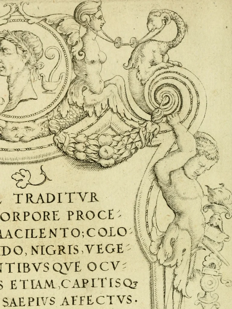 An illustration from Omnivm Caesarvm verissimae imagines ex antiqvis nvmismatis desvmptae : addita per brevi civvsqve vitae descriptiones ac diligenti eorvm qvae reperiri potvervnt nvmismatvm aversae partis delineatione ..., 1554, leaf 11
