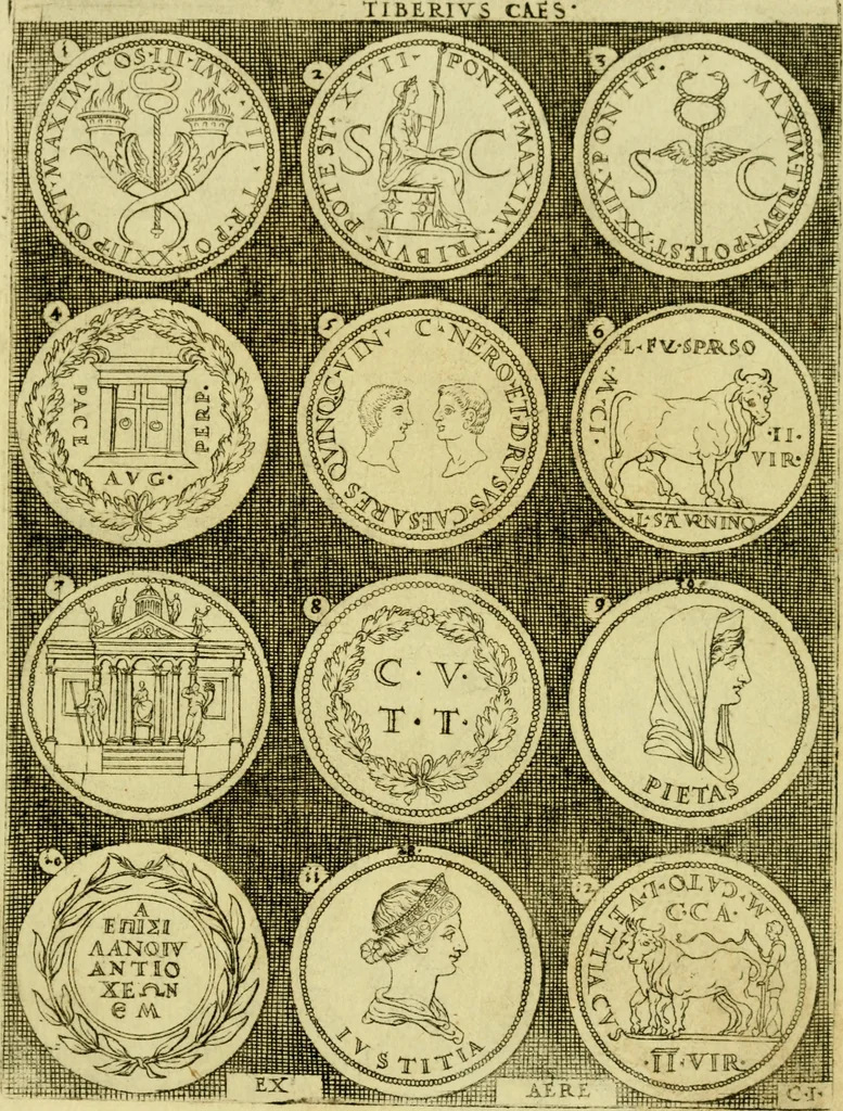 An illustration from Omnivm Caesarvm verissimae imagines ex antiqvis nvmismatis desvmptae : addita per brevi civvsqve vitae descriptiones ac diligenti eorvm qvae reperiri potvervnt nvmismatvm aversae partis delineatione ..., 1554, leaf 38