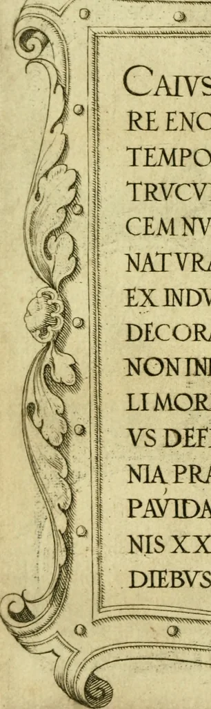 An illustration from Omnivm Caesarvm verissimae imagines ex antiqvis nvmismatis desvmptae : addita per brevi civvsqve vitae descriptiones ac diligenti eorvm qvae reperiri potvervnt nvmismatvm aversae partis delineatione ..., 1554, leaf 43