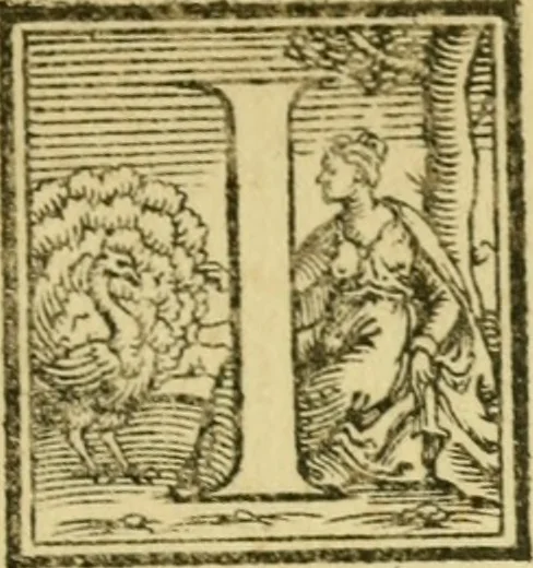 An illustration from Omnivm Caesarvm verissimae imagines ex antiqvis nvmismatis desvmptae : addita per brevi civvsqve vitae descriptiones ac diligenti eorvm qvae reperiri potvervnt nvmismatvm aversae partis delineatione ..., 1554, leaf 8