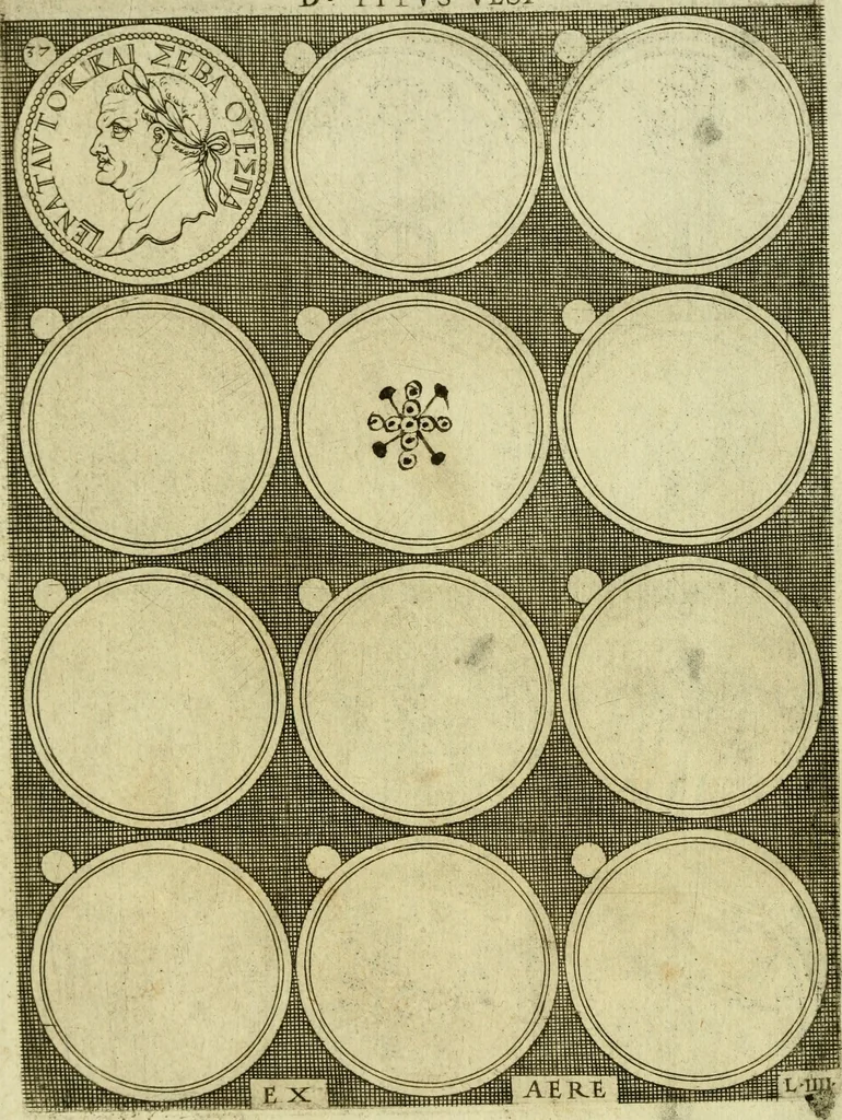 An illustration from Omnivm Caesarvm verissimae imagines ex antiqvis nvmismatis desvmptae : addita per brevi civvsqve vitae descriptiones ac diligenti eorvm qvae reperiri potvervnt nvmismatvm aversae partis delineatione ..., 1554, leaf 99