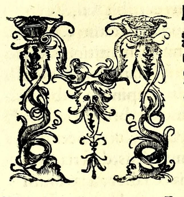 An illustration from Omnivm gentivm mores leges et ritvs ex mvltis clarissimis rervm scriptoribus, 1520, leaf 23