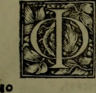 An illustration from Omrou Ilias kai Odysseia meta ts exgsios. Homeri Ilias et Vlyssea cum interpretatione. tn autn polyplokos anagnsis. Variae lectionis in utroq[ue] opere, annotatio, 1535, leaf 172