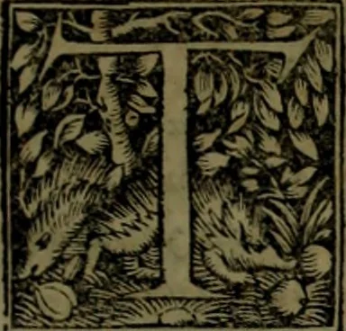 An illustration from Omrou Ilias kai Odysseia meta ts exgsios. Homeri Ilias et Vlyssea cum interpretatione. tn autn polyplokos anagnsis. Variae lectionis in utroq[ue] opere, annotatio, 1535, leaf 524