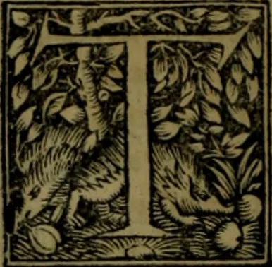 An illustration from Omrou Ilias kai Odysseia meta ts exgsios. Homeri Ilias et Vlyssea cum interpretatione. tn autn polyplokos anagnsis. Variae lectionis in utroq[ue] opere, annotatio, 1535, leaf 613