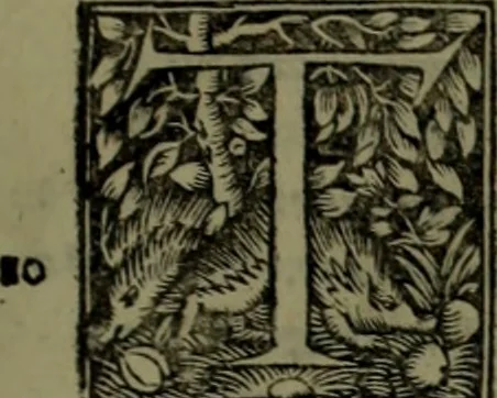An illustration from Omrou Ilias kai Odysseia meta ts exgsios. Homeri Ilias et Vlyssea cum interpretatione. tn autn polyplokos anagnsis. Variae lectionis in utroq[ue] opere, annotatio, 1535, leaf 670