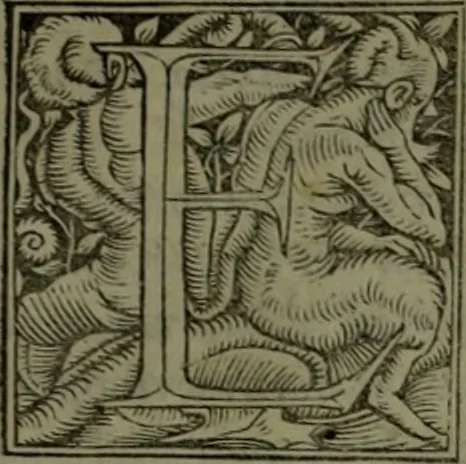 An illustration from Omrou Ilias kai Odysseia meta ts exgsios. Homeri Ilias et Vlyssea cum interpretatione. tn autn polyplokos anagnsis. Variae lectionis in utroq[ue] opere, annotatio, 1535, leaf 700