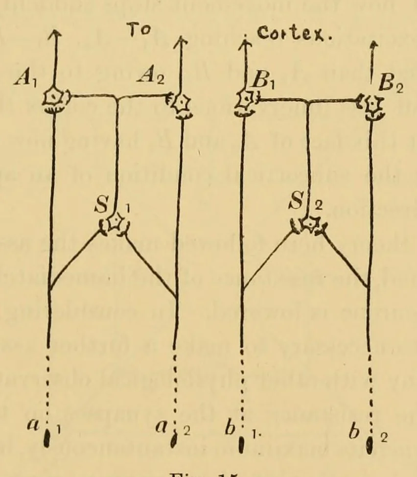 An illustration from On the after-effect of seen movement, 1911, leaf 119