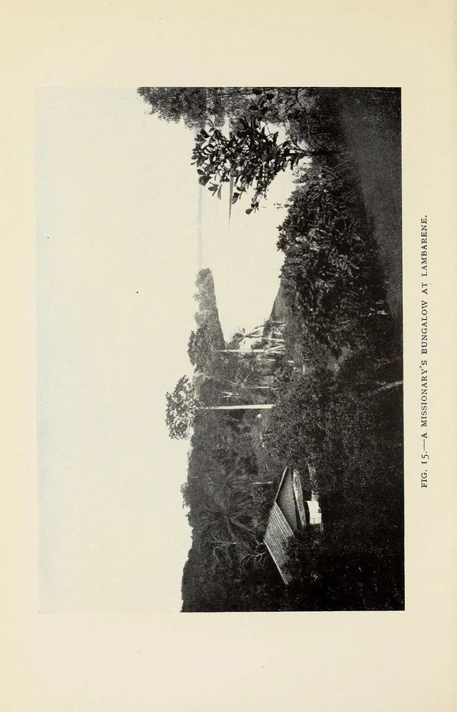 An illustration from On the edge of the primeval forest : experiences and observations of a doctor in equatorial Africa, 1922, leaf 186