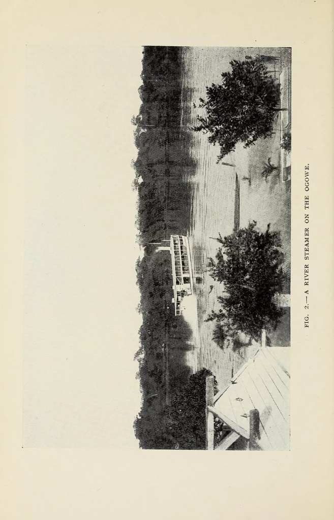 An illustration from On the edge of the primeval forest : experiences and observations of a doctor in equatorial Africa, 1922, leaf 36