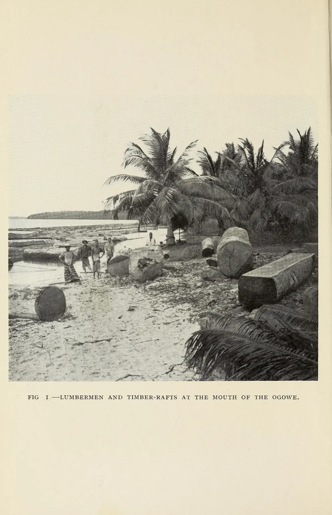 An illustration from On the edge of the primeval forest : experiences and observations of a doctor in equatorial Africa, 1922, leaf 8