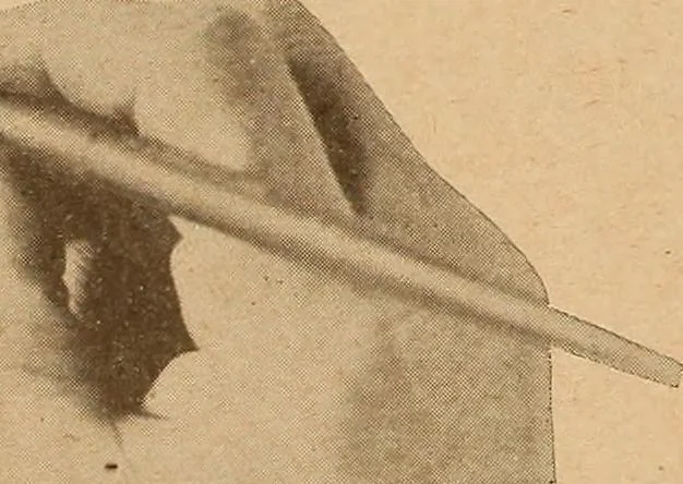 An illustration from One hundred loose leaf lessons in lettering with pen and brush; Gordon system, adapting the familiar music staff as an aid to correct alignment and construction of letters, introducing a series of alphabets for show card writing and commercial art work, 1920, leaf 5
