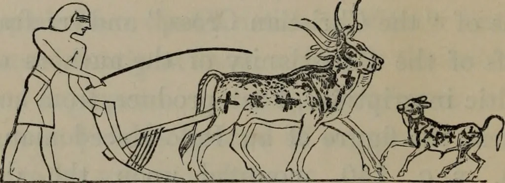 An illustration from The one primeval language : traced experimentally through ancient inscriptions in alphabetic characters of lost powers from the four continents..., 1851, leaf 59