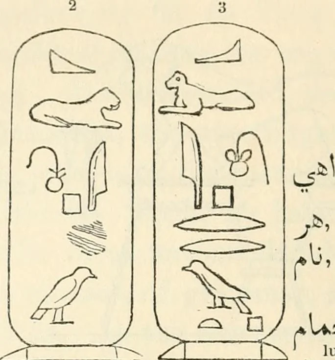 An illustration from The one primeval language traced experimentally through ancient inscriptions in alphabetic characters of lost powers from the four continents including the voice of Israel from the rocks of Sinai and the vestiges of patriarchal tradition from the monuments of Egypt, Eturia, and southern Arabia, 1851, leaf 101