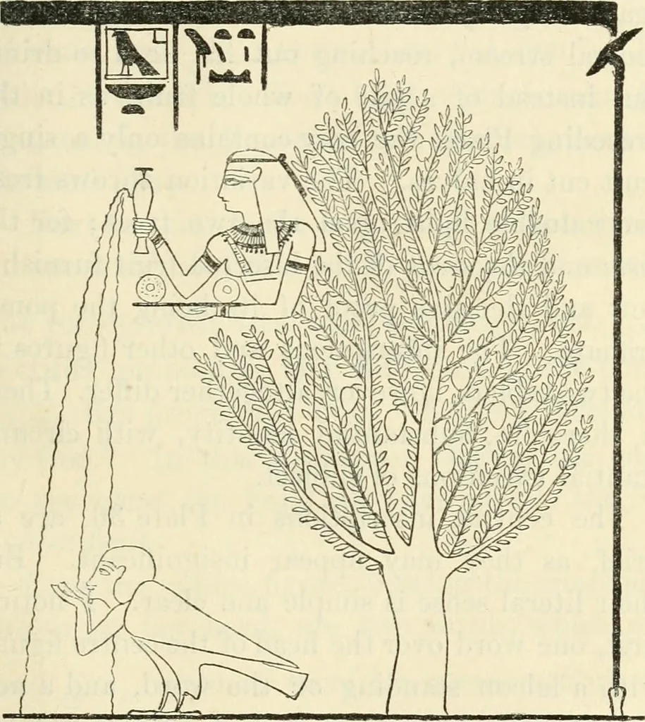 An illustration from The one primeval language traced experimentally through ancient inscriptions in alphabetic characters of lost powers from the four continents including the voice of Israel from the rocks of Sinai and the vestiges of patriarchal tradition from the monuments of Egypt, Eturia, and southern Arabia, 1851, leaf 242