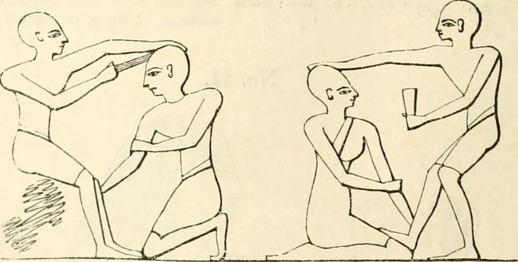 An illustration from The one primeval language traced experimentally through ancient inscriptions in alphabetic characters of lost powers from the four continents including the voice of Israel from the rocks of Sinai and the vestiges of patriarchal tradition from the monuments of Egypt, Eturia, and southern Arabia, 1851, leaf 251