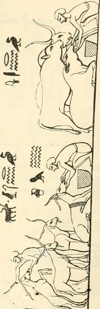 An illustration from The one primeval language traced experimentally through ancient inscriptions in alphabetic characters of lost powers from the four continents including the voice of Israel from the rocks of Sinai and the vestiges of patriarchal tradition from the monuments of Egypt, Eturia, and southern Arabia, 1851, leaf 253