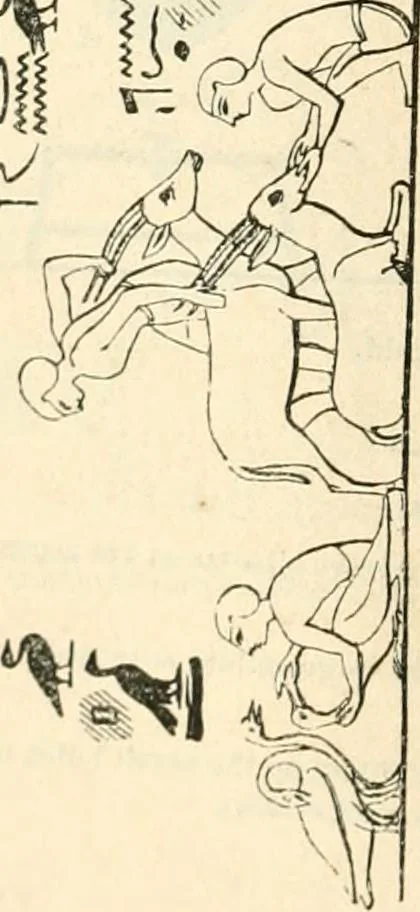 An illustration from The one primeval language traced experimentally through ancient inscriptions in alphabetic characters of lost powers from the four continents including the voice of Israel from the rocks of Sinai and the vestiges of patriarchal tradition from the monuments of Egypt, Eturia, and southern Arabia, 1851, leaf 253