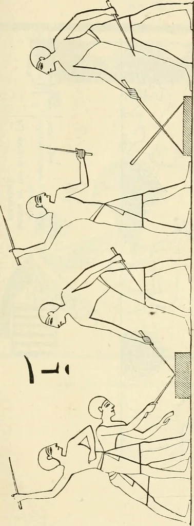 An illustration from The one primeval language traced experimentally through ancient inscriptions in alphabetic characters of lost powers from the four continents including the voice of Israel from the rocks of Sinai and the vestiges of patriarchal tradition from the monuments of Egypt, Eturia, and southern Arabia, 1851, leaf 254