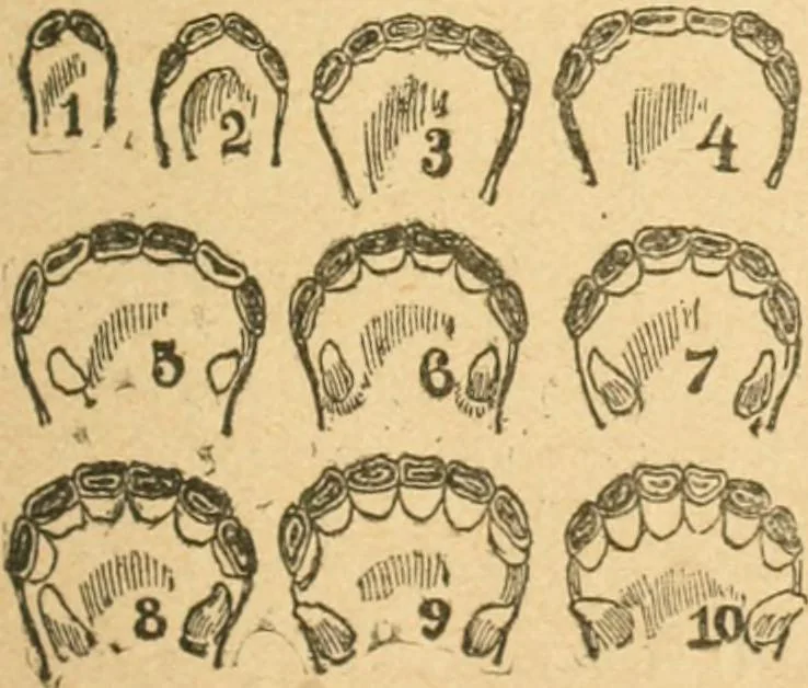An illustration from One thousand secrets of rich and wise men revealed, 1898, leaf 48